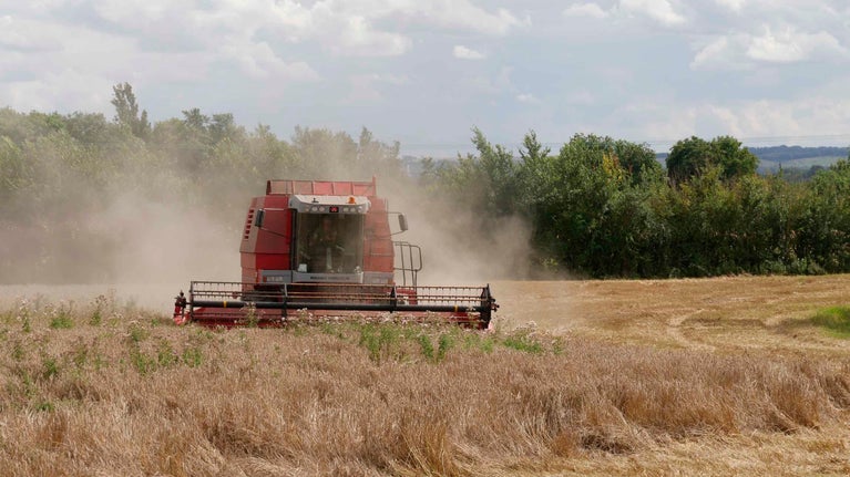 Combine harvester harvesting wheat on the estate at Wimpole, Cambridgeshire